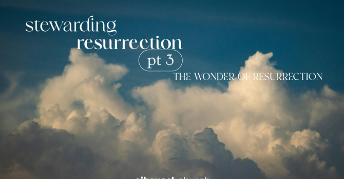 Stewarding Resurrection part 3