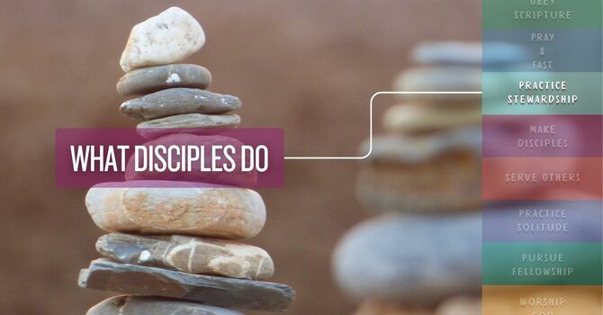 Practice Stewardship