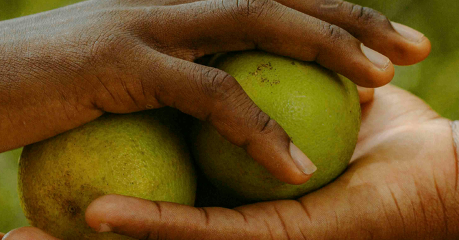 Having the Goodwill of all the People