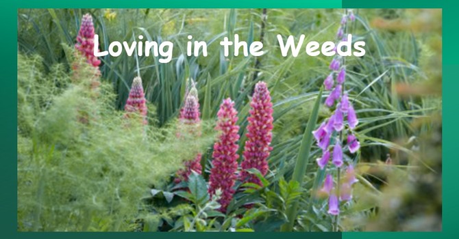 Loving in the Weeds