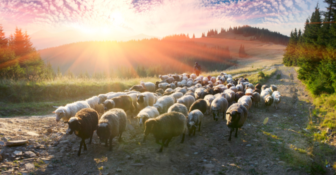 Holy Eucharist (BAS)