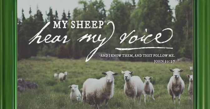 Sunday Worship  image