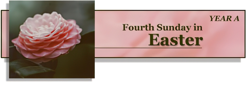 FOURTH  SUNDAY OF EASTER