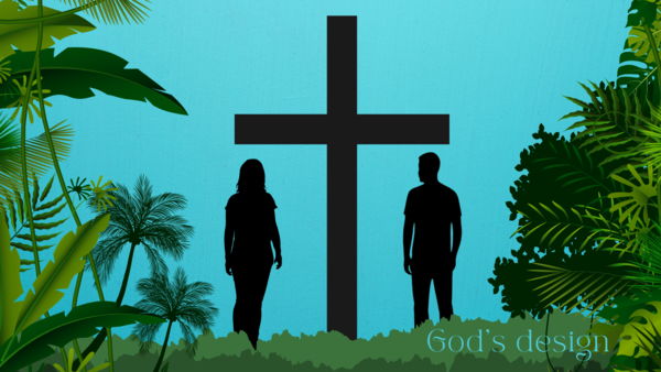God's Design