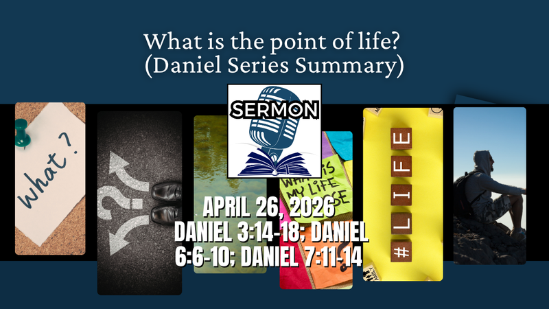 What is the point of life? (Daniel Series Summary)
