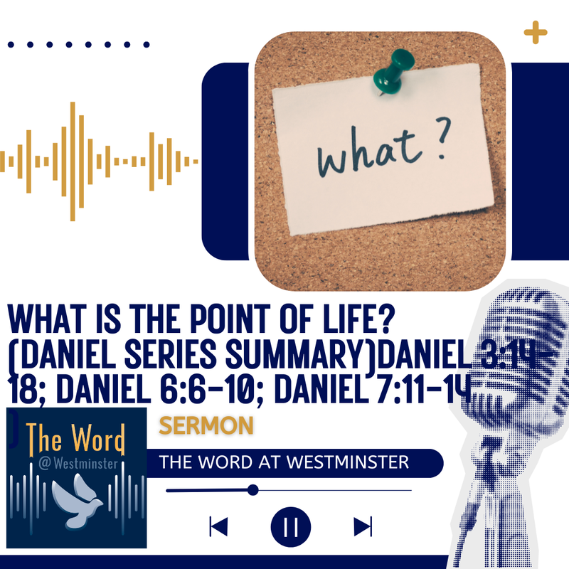 What is the point of life? (Daniel Series Summary).