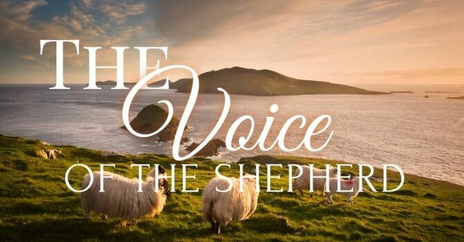 The Voice of the Shepherd