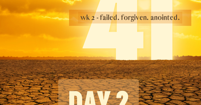 What Happened During the 40? image