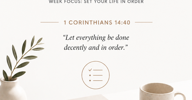  Order Brings Clarity image