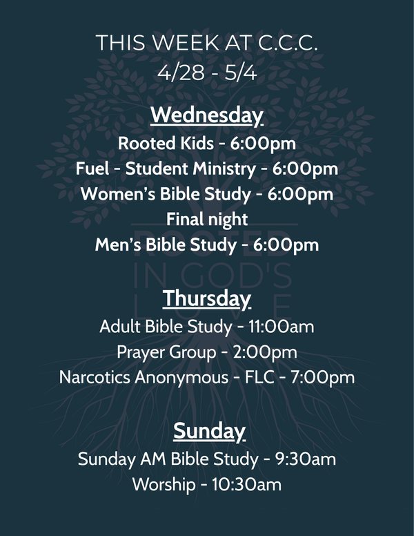 This Week's Schedule