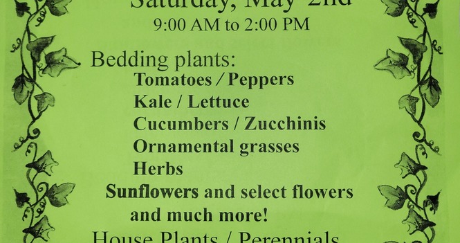 Giant Plant Sale