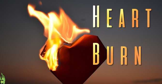 Why Do Doubts Rise In Your Minds?