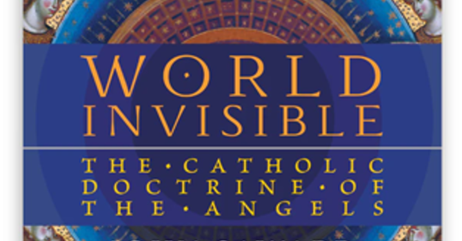 Book Study - World Invisible 