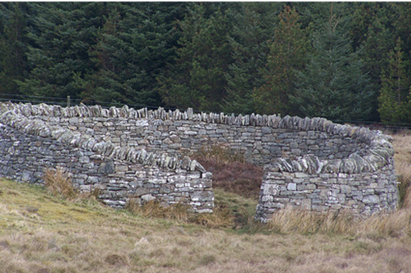 Fourth Sunday of Easter, 2026