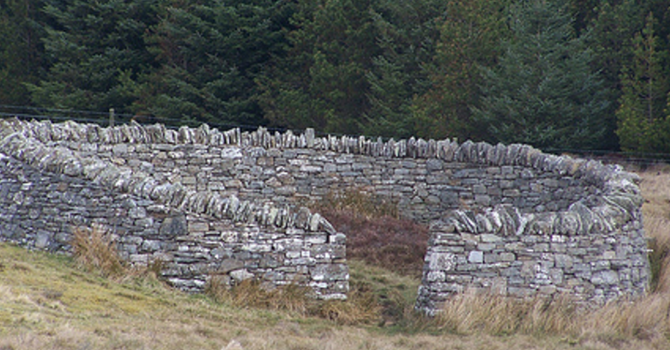 Fourth Sunday of Easter, 2026