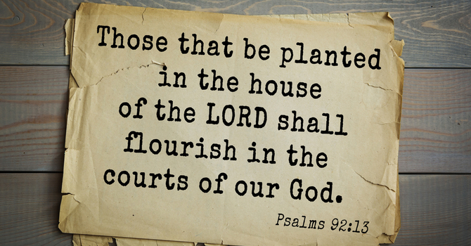 Grand Junction Spring 2026 Session 6 