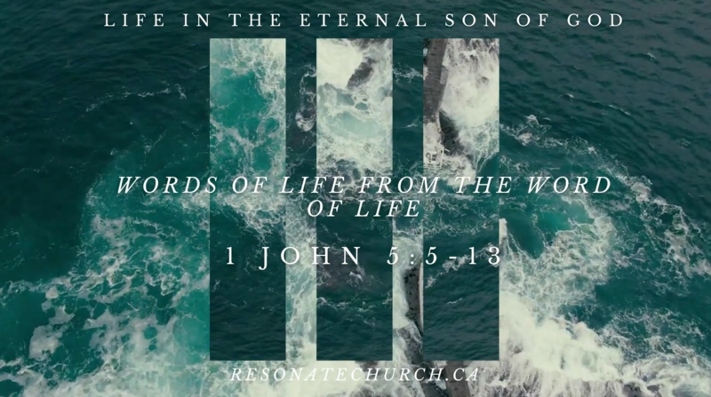 Life In The Eternal Son Of God