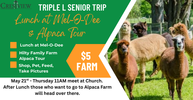 Triple L Seniors Event