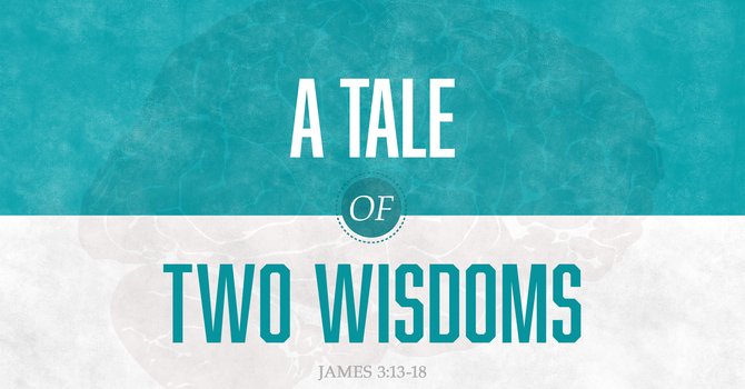 A Tale of Two Wisdoms 