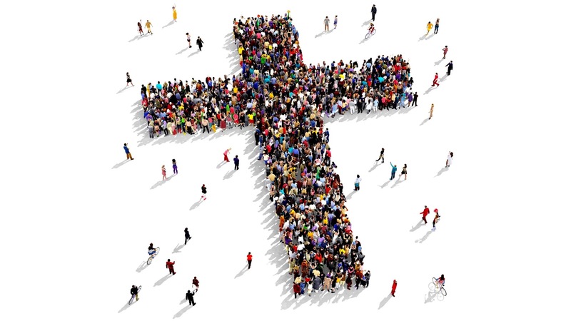 Collateral Damage (16)