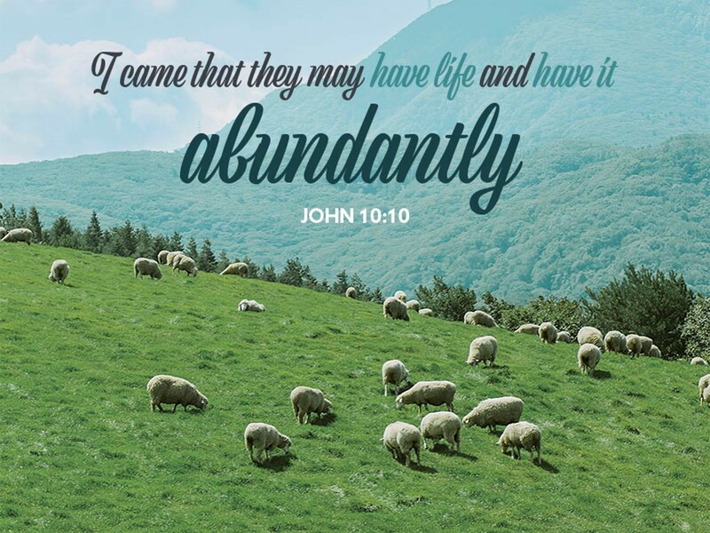 Sermon for April 26, 2026