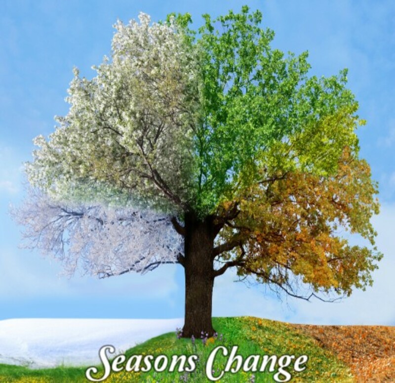 Seasons Change