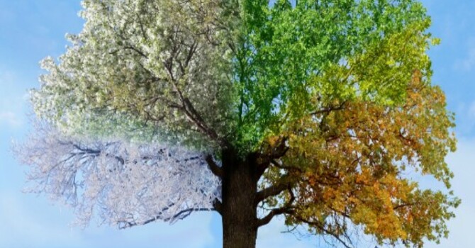 Seasons Change
