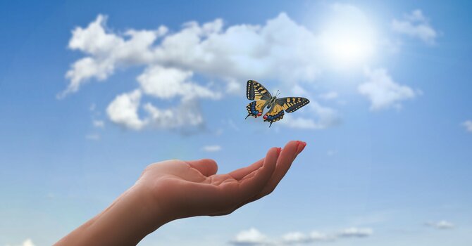 Devotions in Preparation for Sunday, May 3rd image