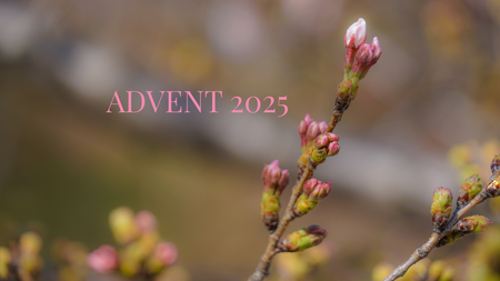 Advent 2025