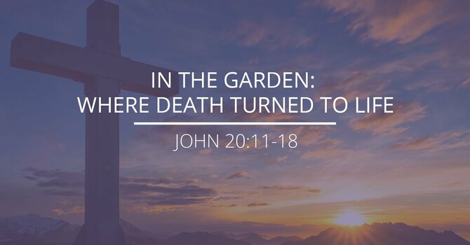 John 20:11-18 - "In The Garden: Where Death Turned To Life"