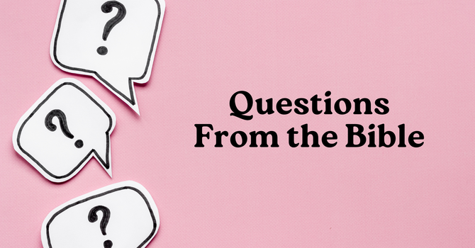 What Is a Man Profited?