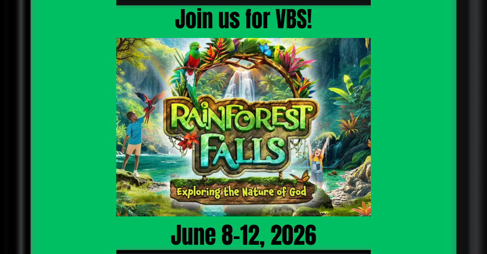 Rainforest Falls VBS