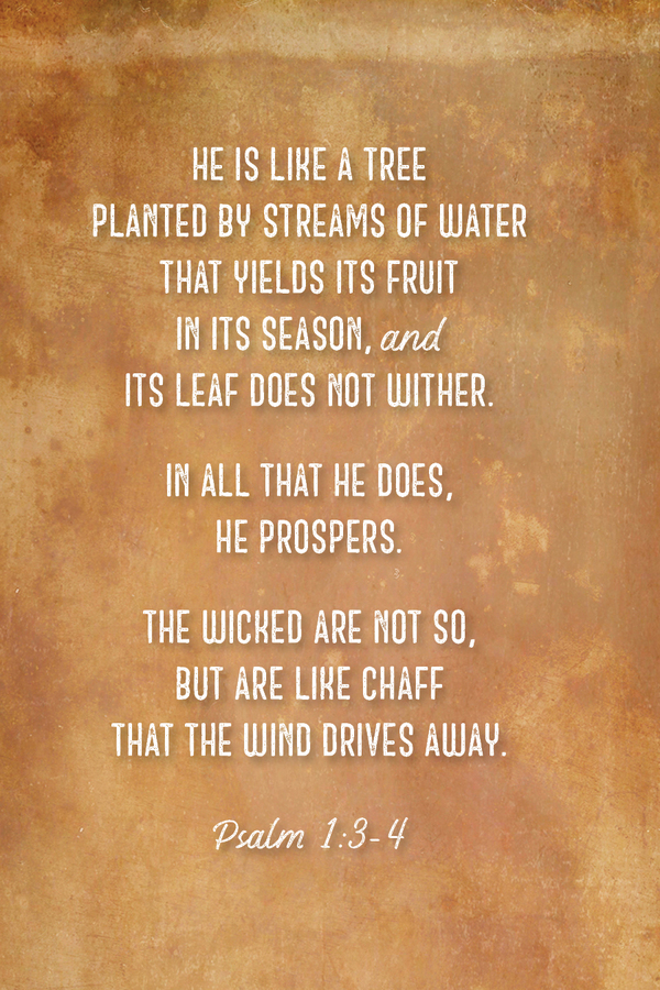 Fighter Verse | April 26, 2026