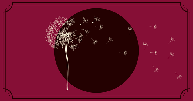 Five Wishes