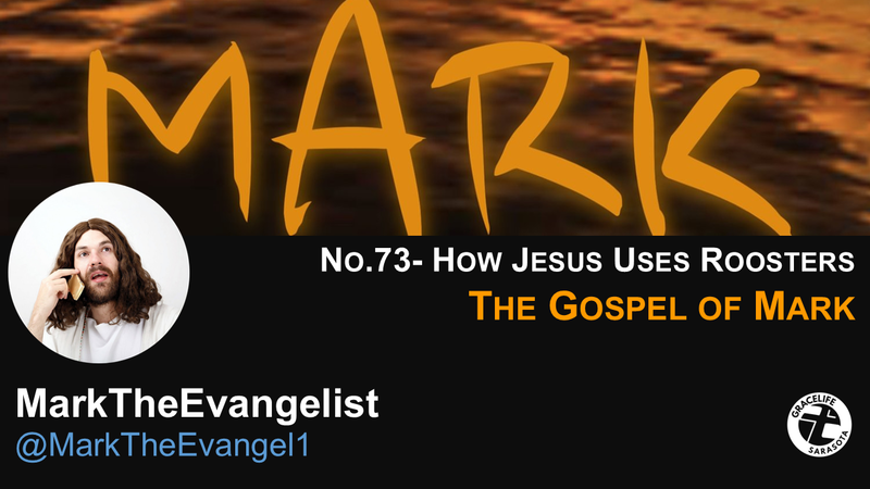 No.73- How Jesus Uses Roosters