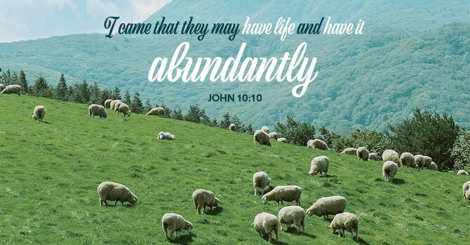 4th Sunday of Easter