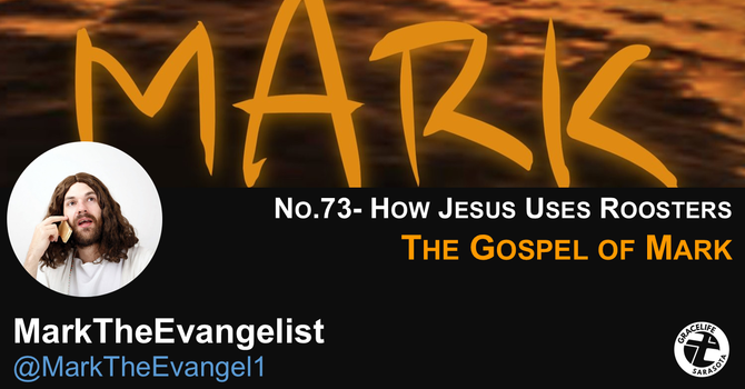 No.73- How Jesus Uses Roosters