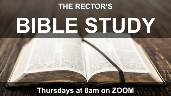The Rector's Bible Study