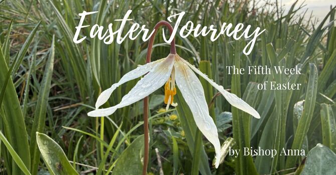 The Fifth Week of Easter