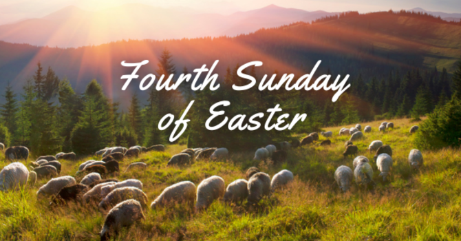 Good Shepherd Sunday