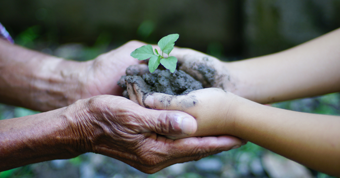 Stewardship Ministry