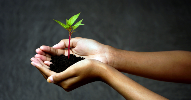 Spiritual Disciplines