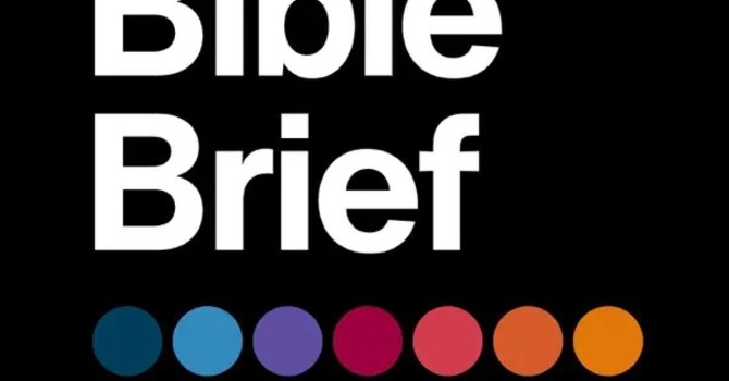 The Bible Brief