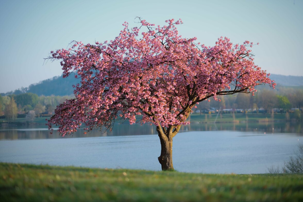 Slideshow image