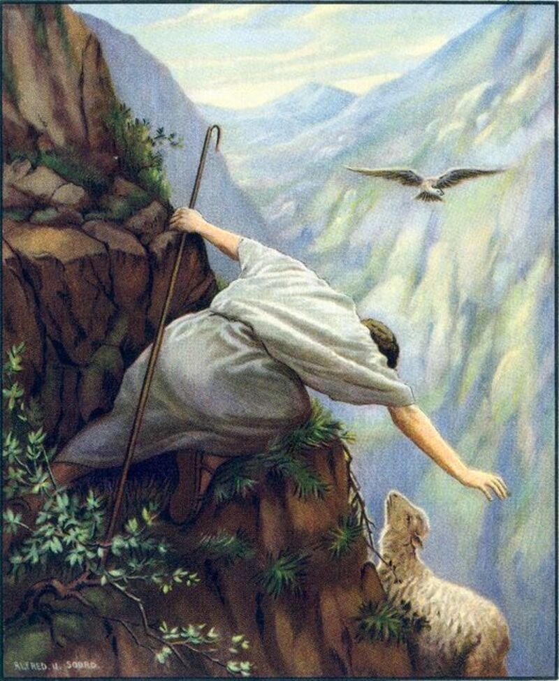 Seeking the Lost