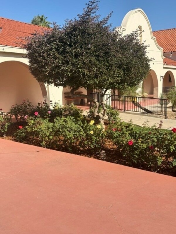Rose Garden