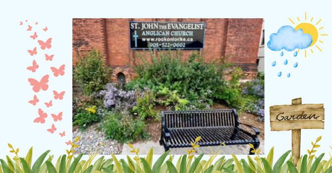 Volunteer Gardening at the SJE Rain Garden
