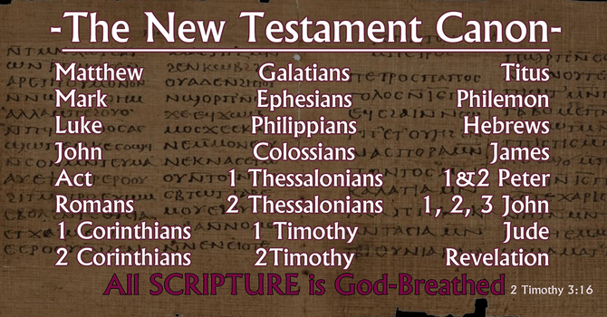 Church History (Week 8)
