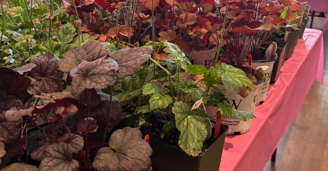 It’s Finally Time…. image