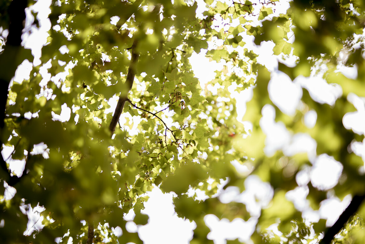 Slideshow image